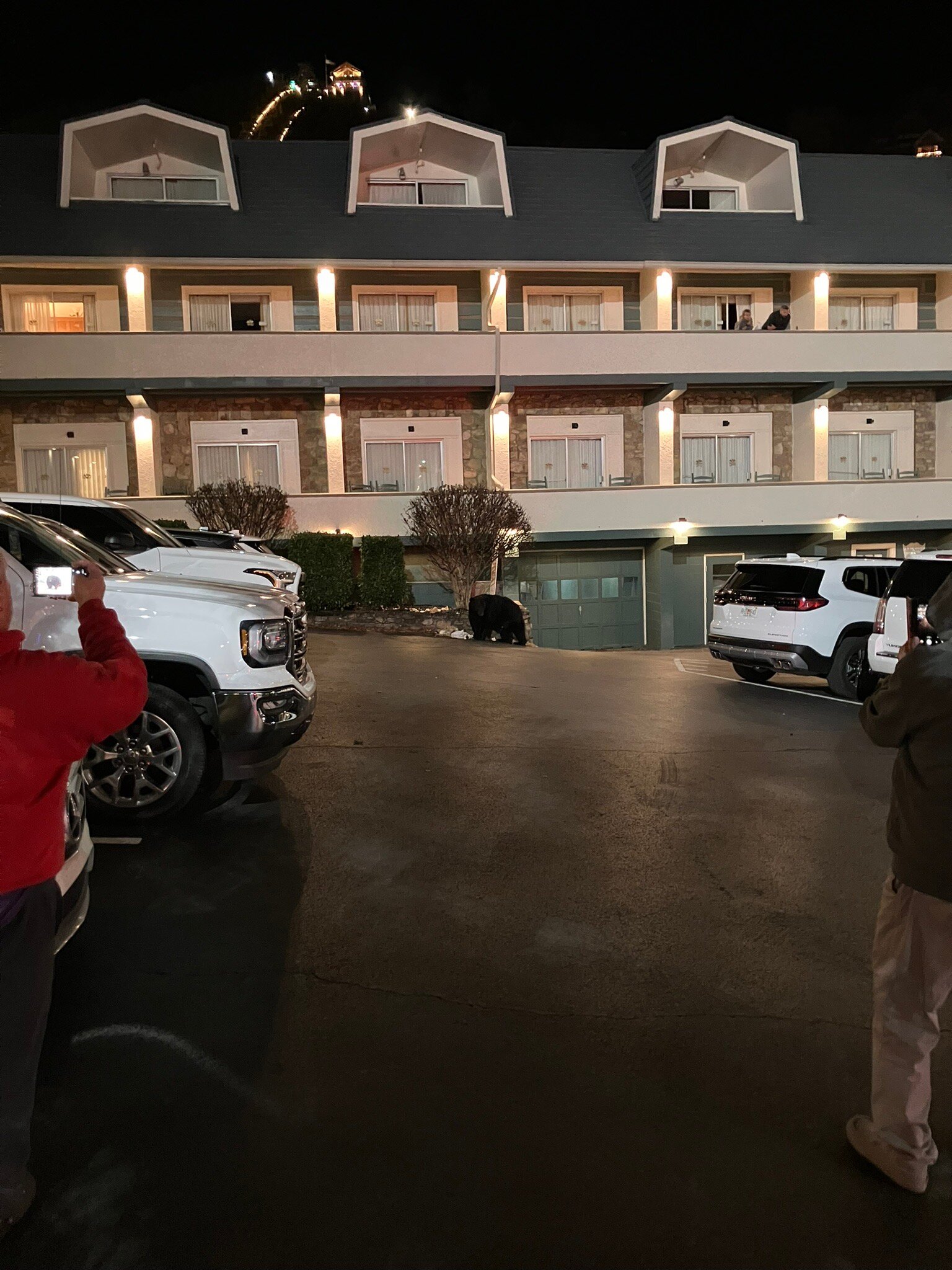 加特林堡酒店-官方