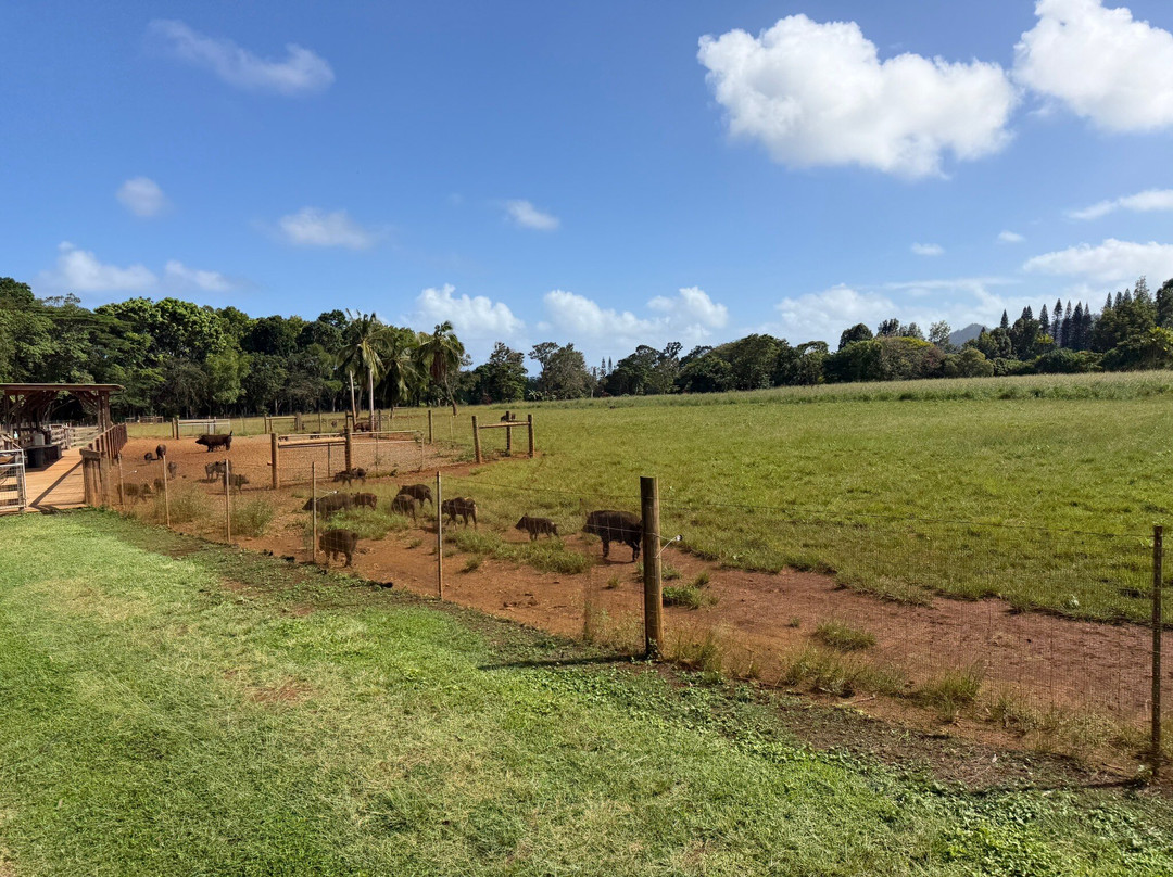 Kauai Plantation Railway-利胡埃必去景点