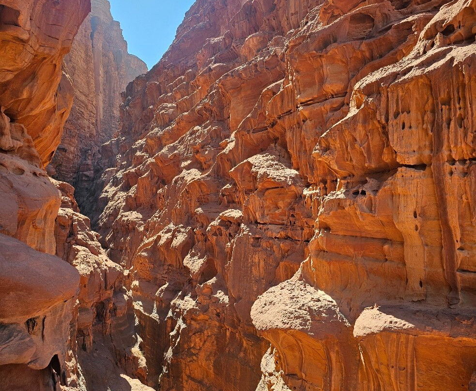 Wadi Rum Desert Adventures - Day Tours-Wadi Rum Village必去景点