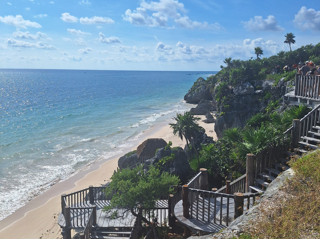 海洋观鲸鲨之旅-坎昆必去景点