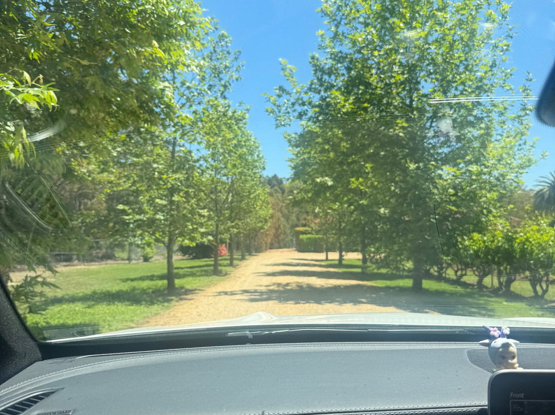 Le Mas Barossa Valley主图