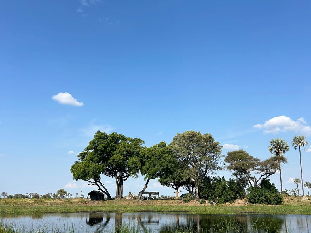 Embrace Safaris-马翁必去景点