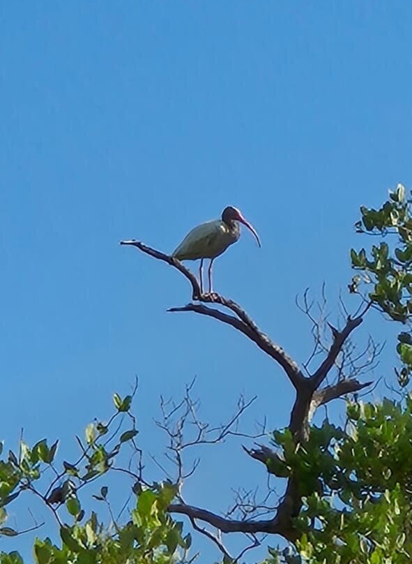 Reserva Natural Sanguare-Rincon del Mar必去景点
