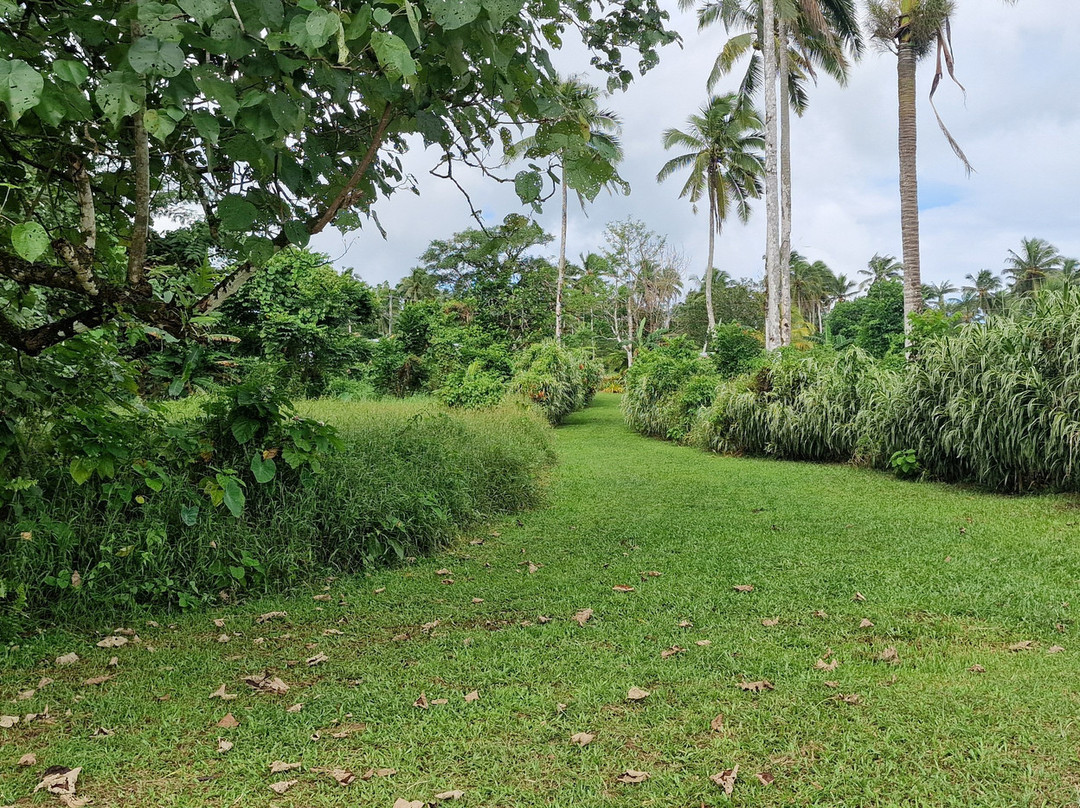 Fuipisia Waterfall-Upolu必去景点