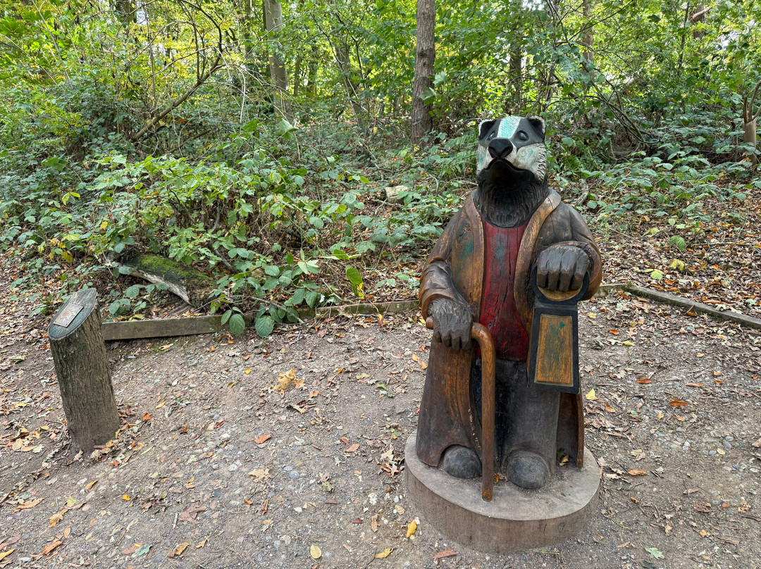 Hanningfield Nature Discovery Centre-Billericay必去景点