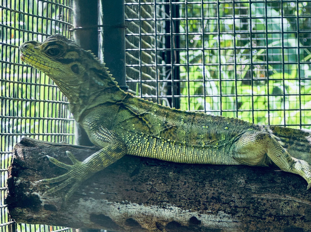 Eco Explorations-马尼拉必去景点