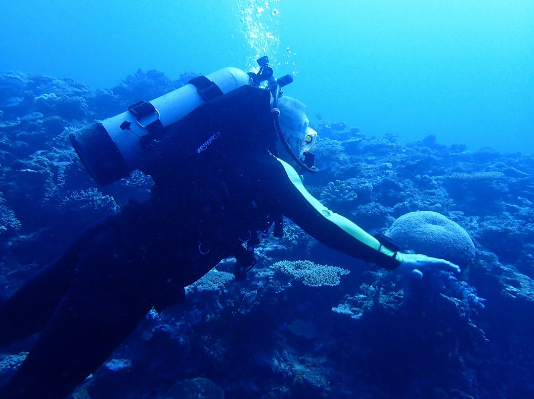 Dive Savusavu Fiji-萨武萨武必去景点