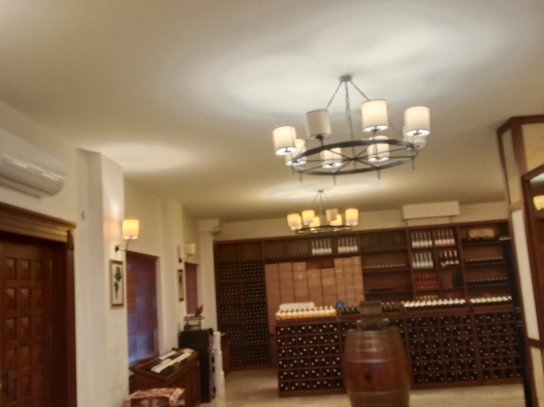 Kocabag Winery-乌奇萨必去景点