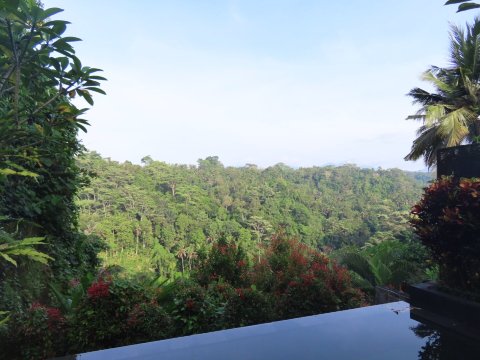 乌布黑派尼别墅酒店-官方