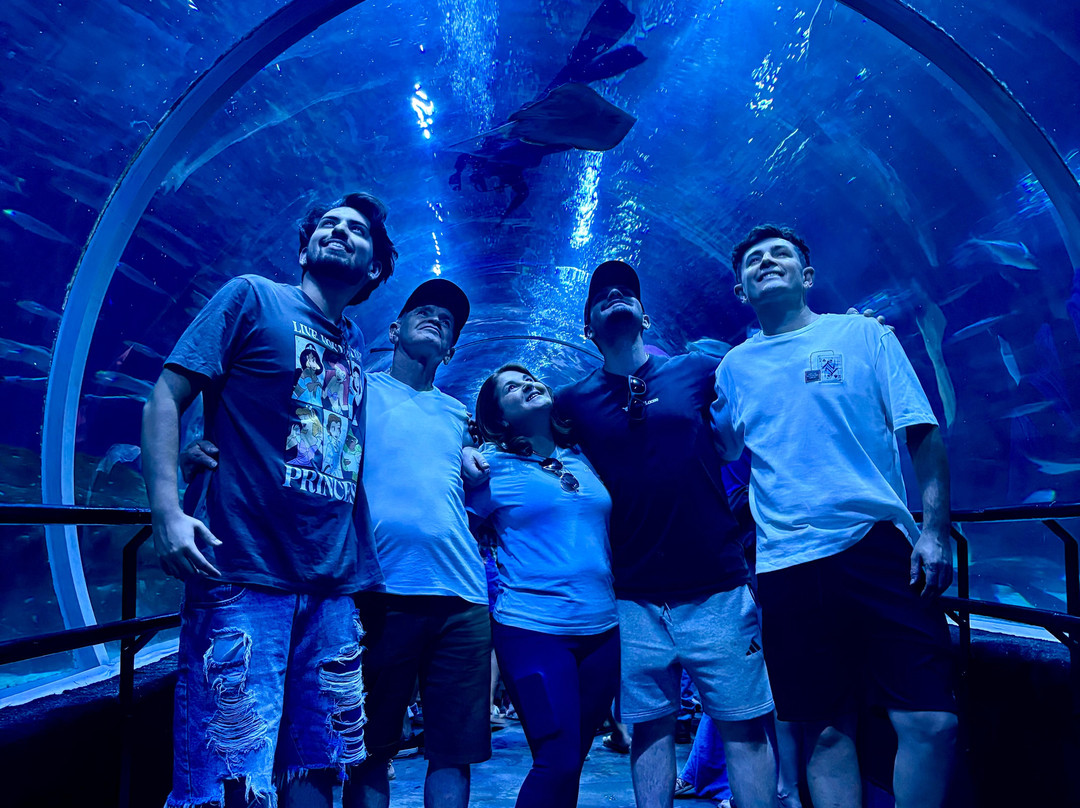 Kadu Bueno - Private Tour Guide-里约热内卢必去景点