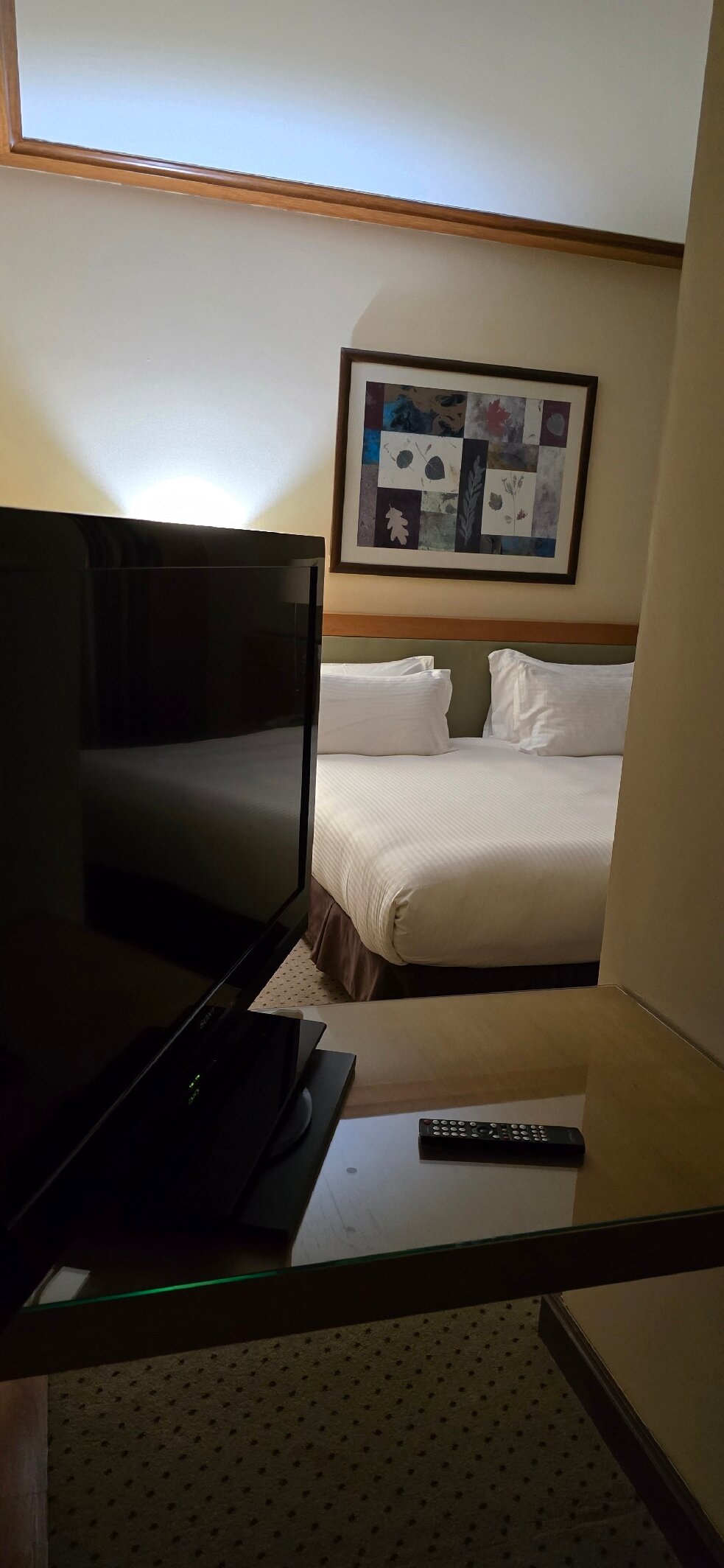 皇冠假日酒店&度假村-官方