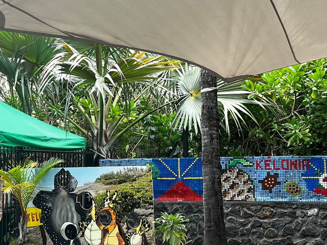 Kélonia-圣亮必去景点