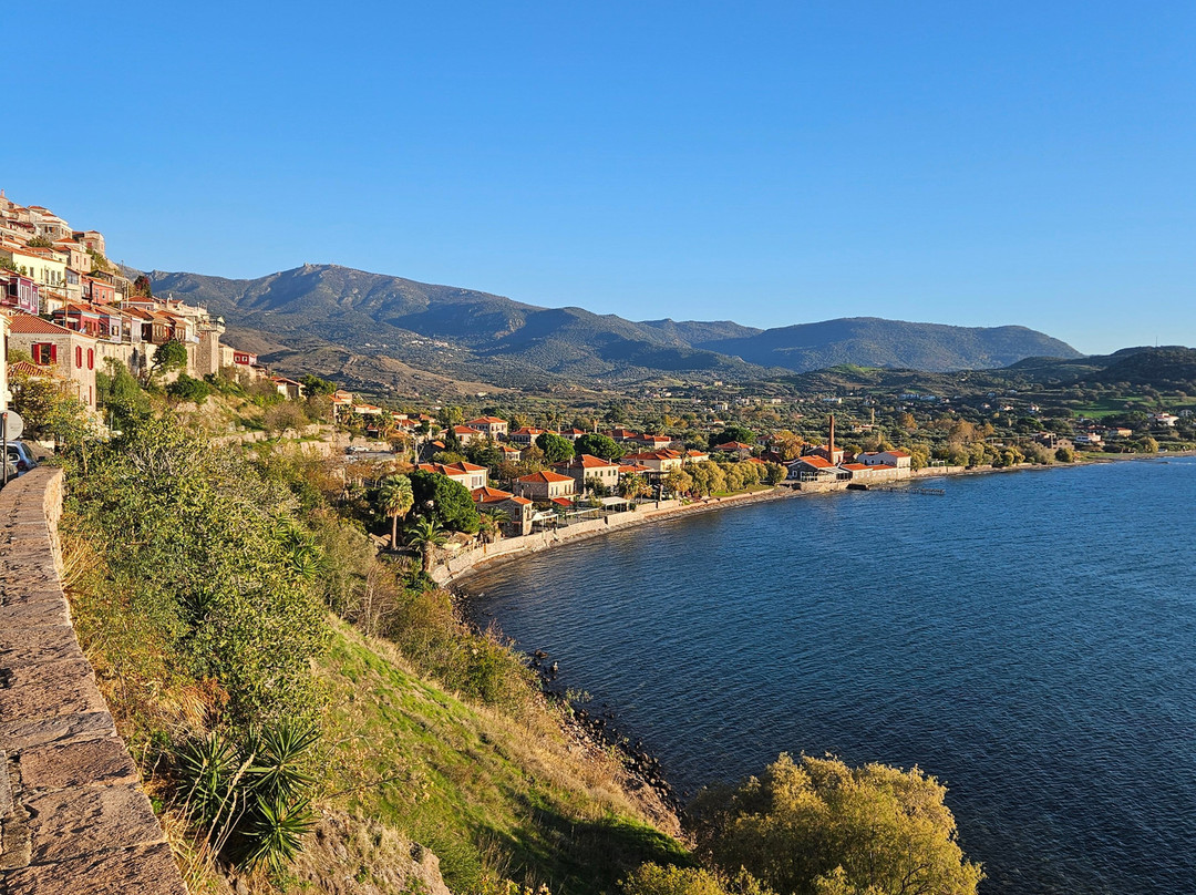 Agios Isidoros Beach-Plomari必去景点