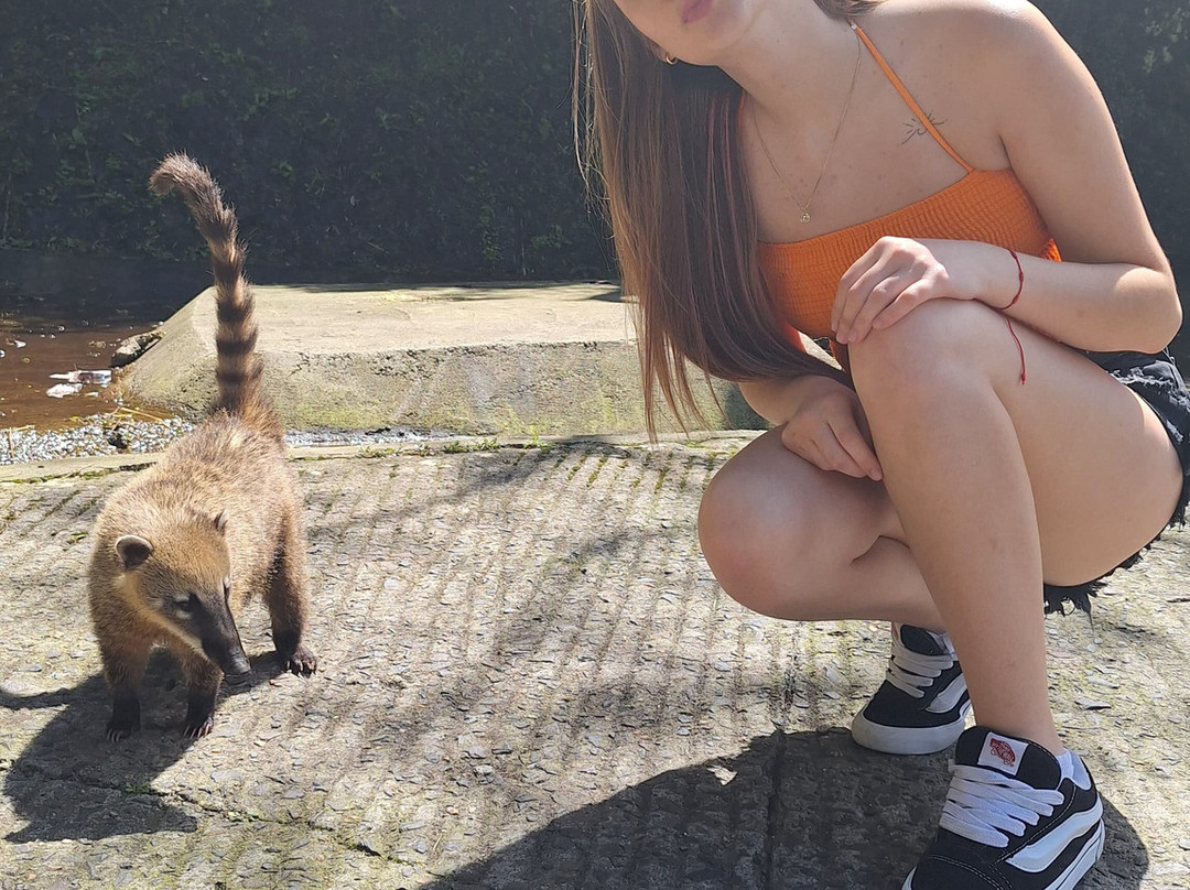 Serra do Rio do Rastro-Lauro Muller必去景点