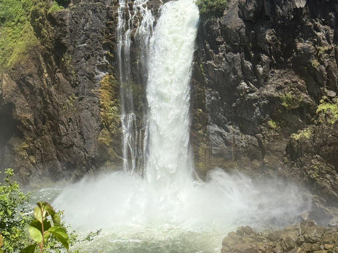 Victoria Falls-李文斯顿必去景点