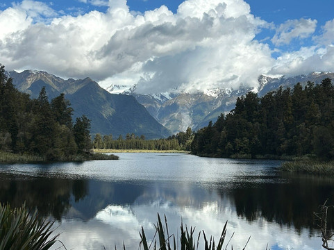 Mondumo Tours-奥克兰必去景点