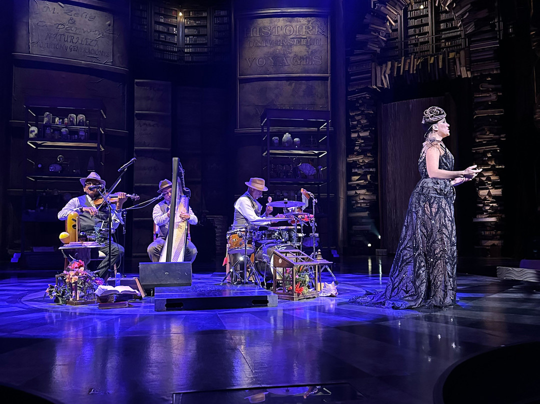 Cirque du Soleil Joyà-普拉亚德尔卡曼必去景点