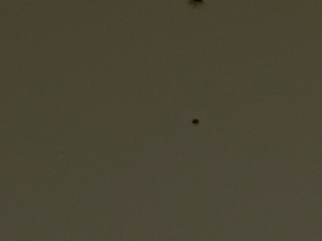 Tru by Hilton Greensboro Lake Oconee主图