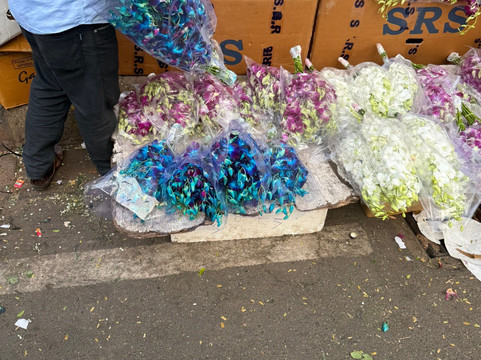 Passport Lifestyles-孟买必去景点