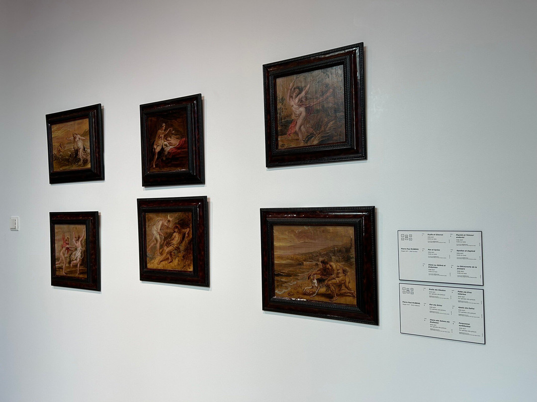 Musee Bonnat-Helleu-Bayonne必去景点