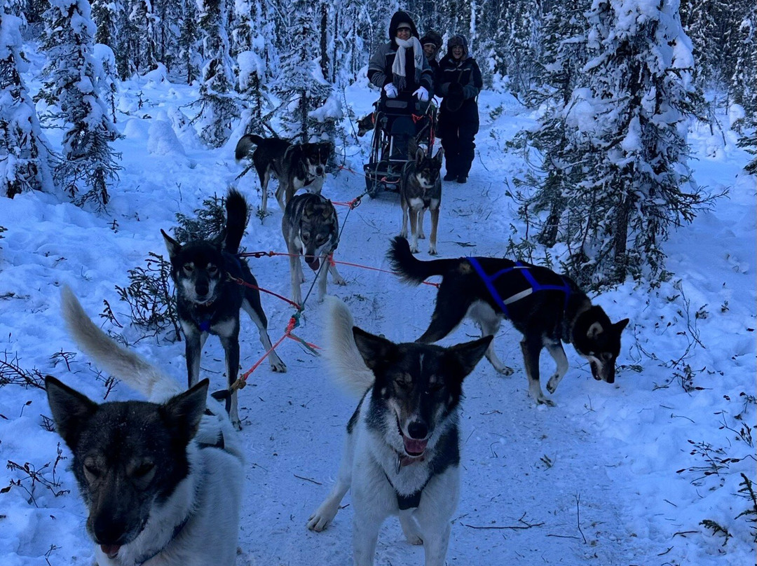 Snowhook Adventure Guides of Alaska-Willow必去景点