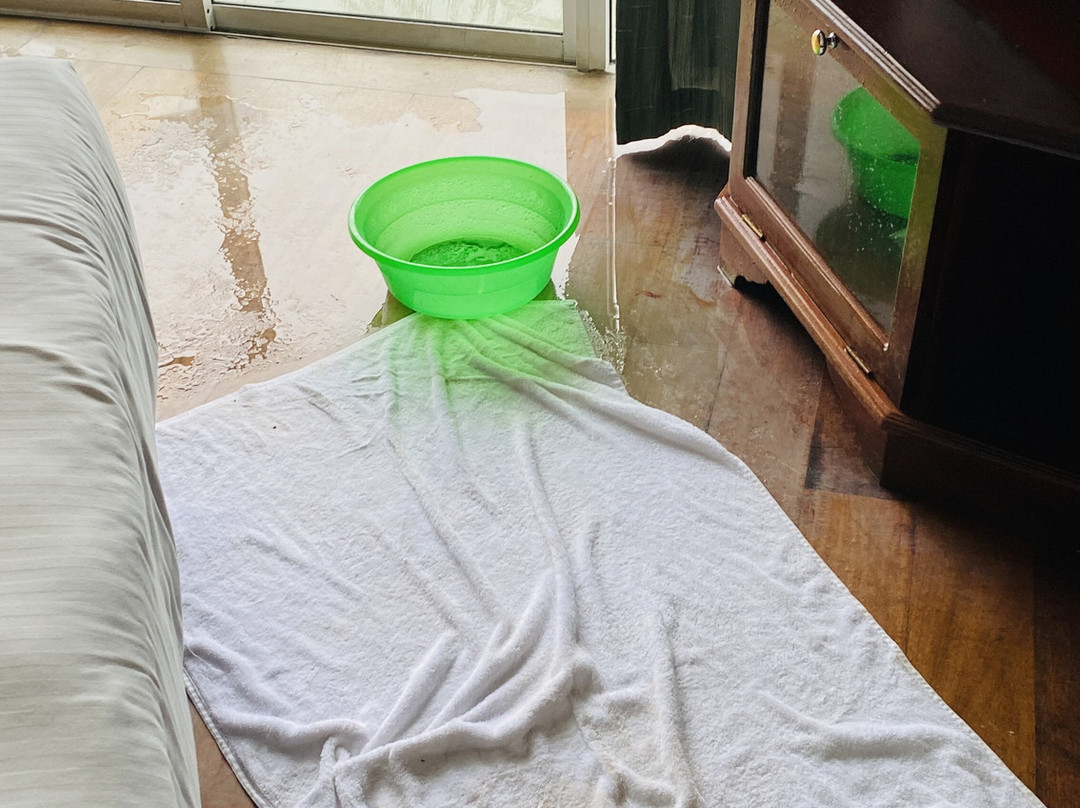 芒特拉维尼亚酒店主图