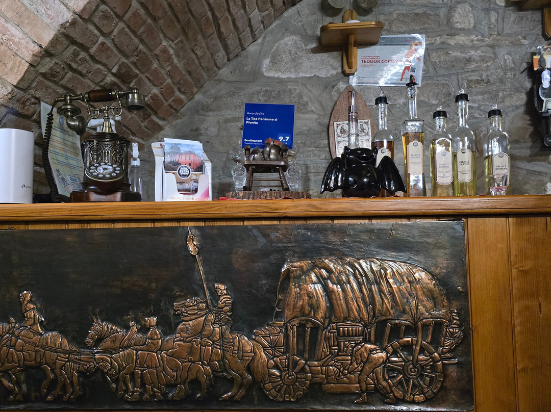 Pivnita lui Teo - Teo's Cellar-锡吉索拉必去景点