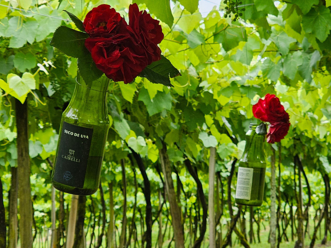 Vinícola Cainelli-本图贡萨尔维斯必去景点