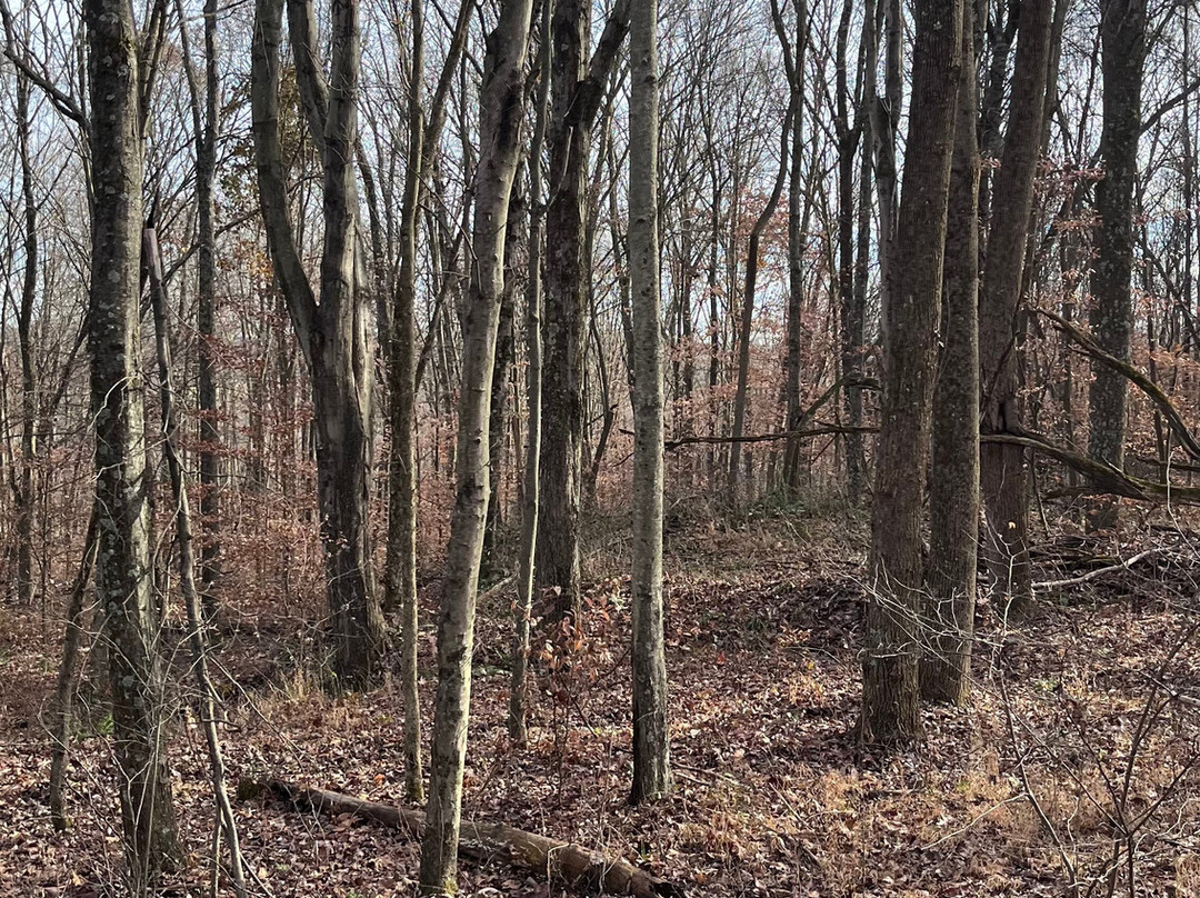 Equestrian Ridge Farm-New Plymouth必去景点