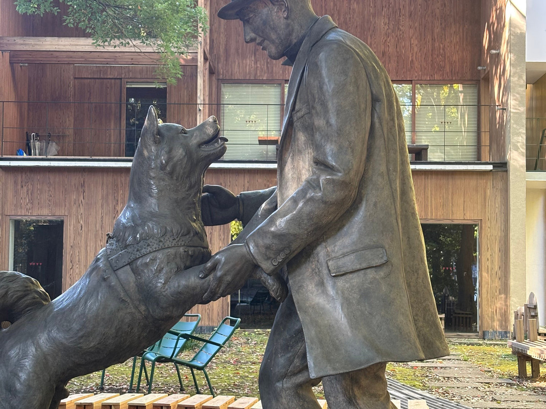 Statue of Hachiko & Hidesaburo Ueno-文京区必去景点