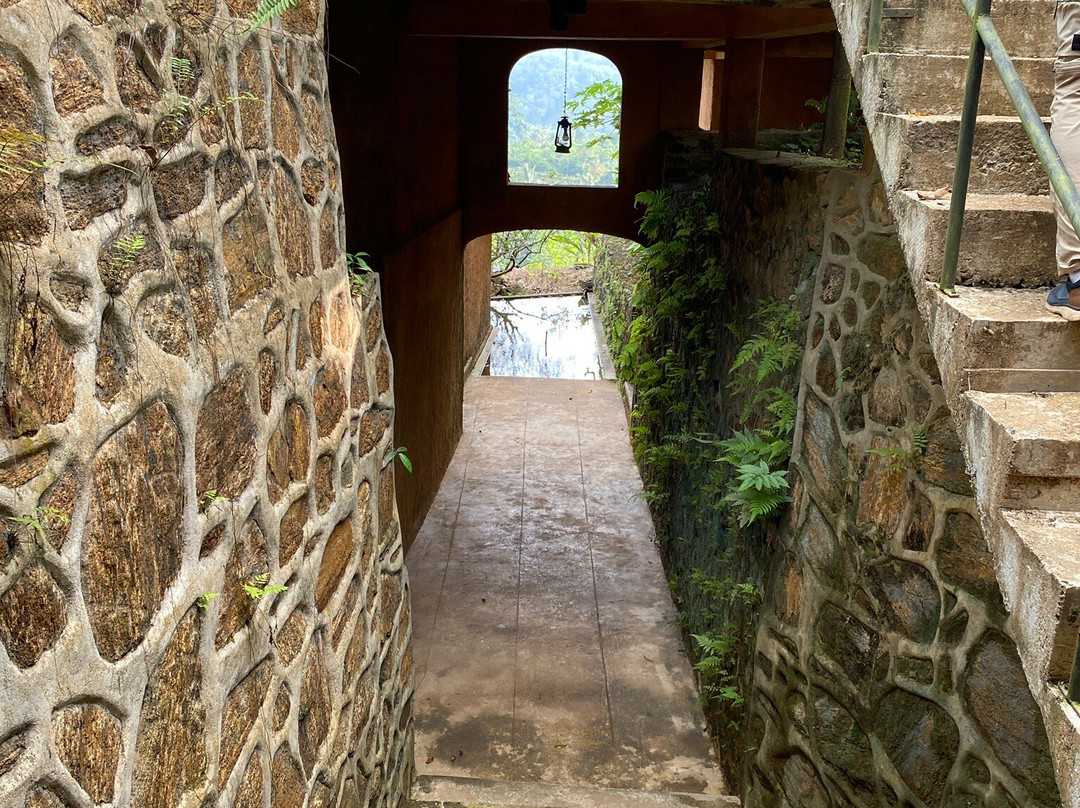 Rainforest Edge主图