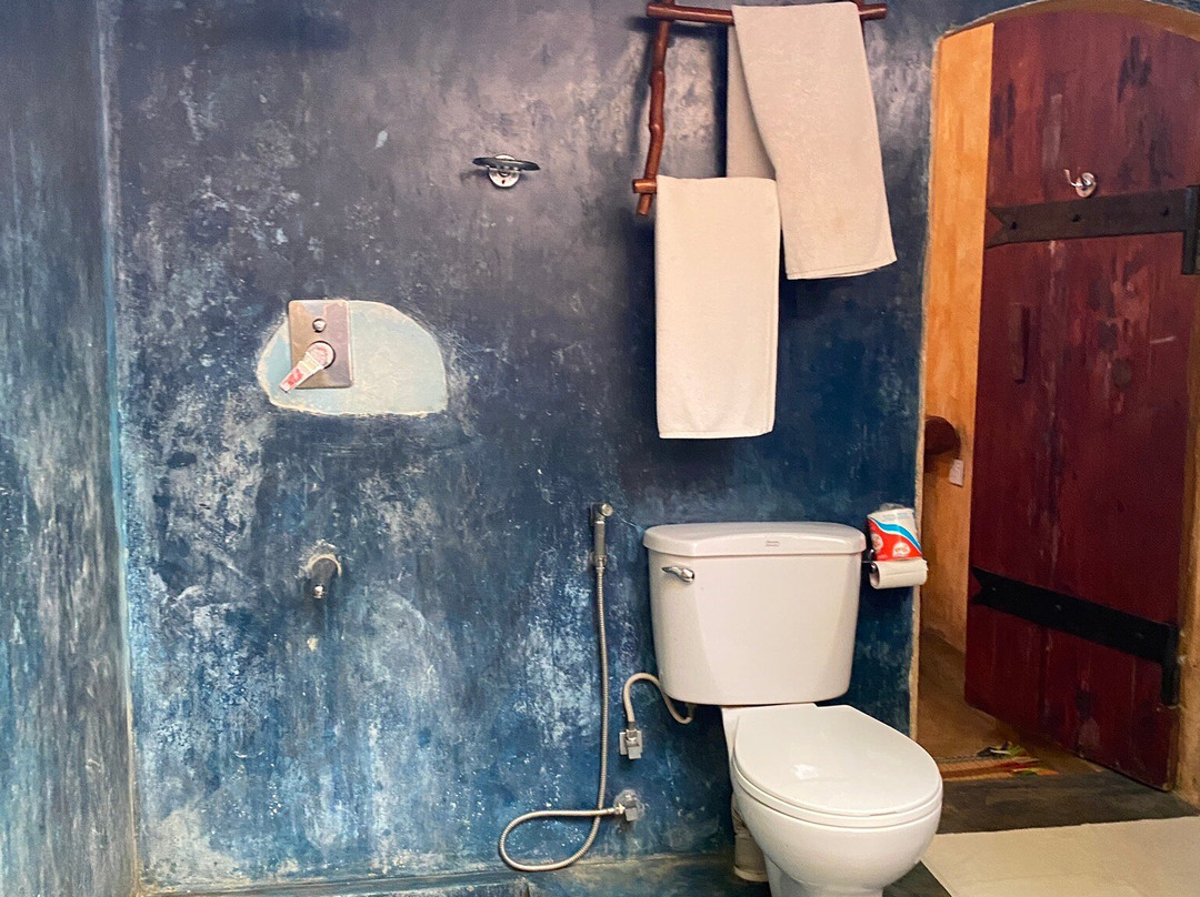 Rainforest Edge主图