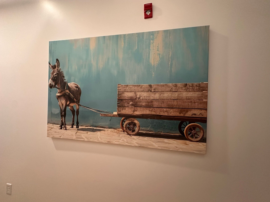 Jackass Brewing Company