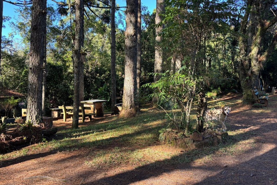 Sitio Cascata da Borussia-Osorio必去景点