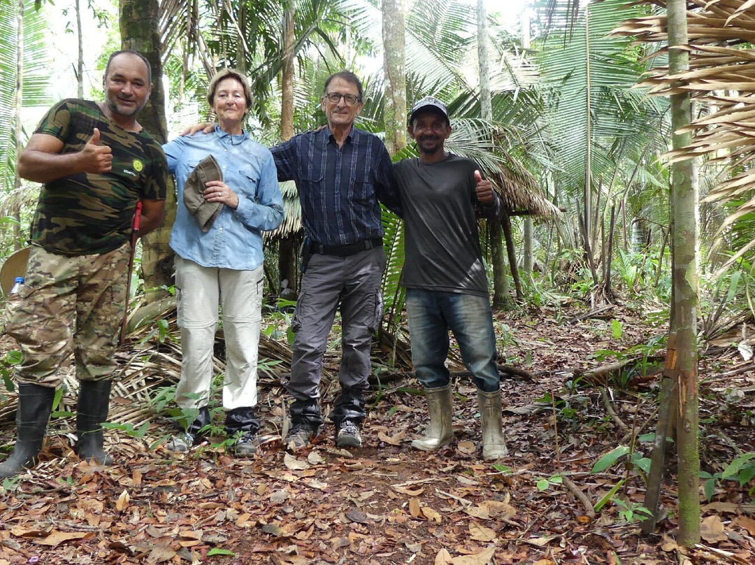 Amazon Green Tours-玛瑙斯必去景点