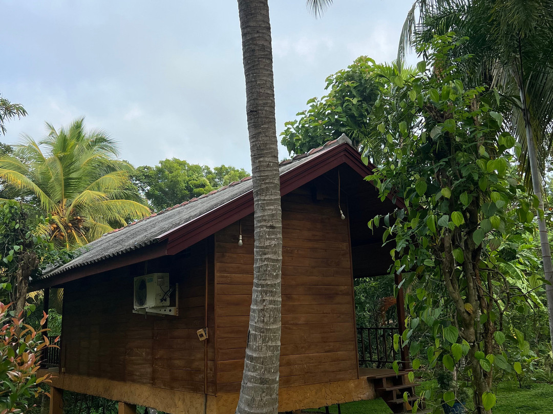 Wild Lake Side Holiday Resort主图