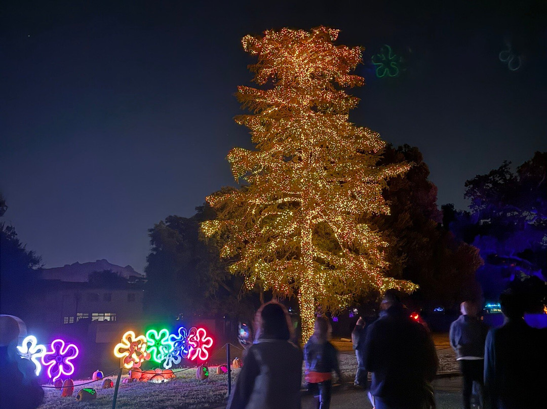 Nights of the Jack-卡拉巴萨斯必去景点