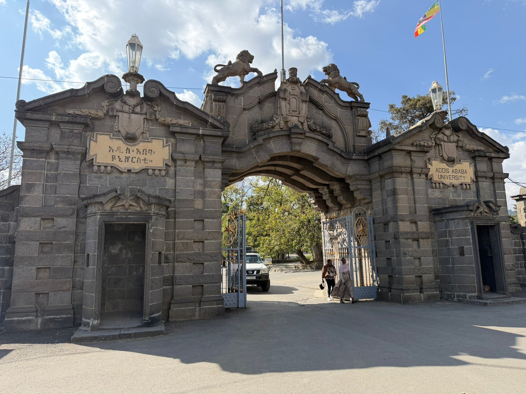 Awaze Tours-亚的斯亚贝巴必去景点