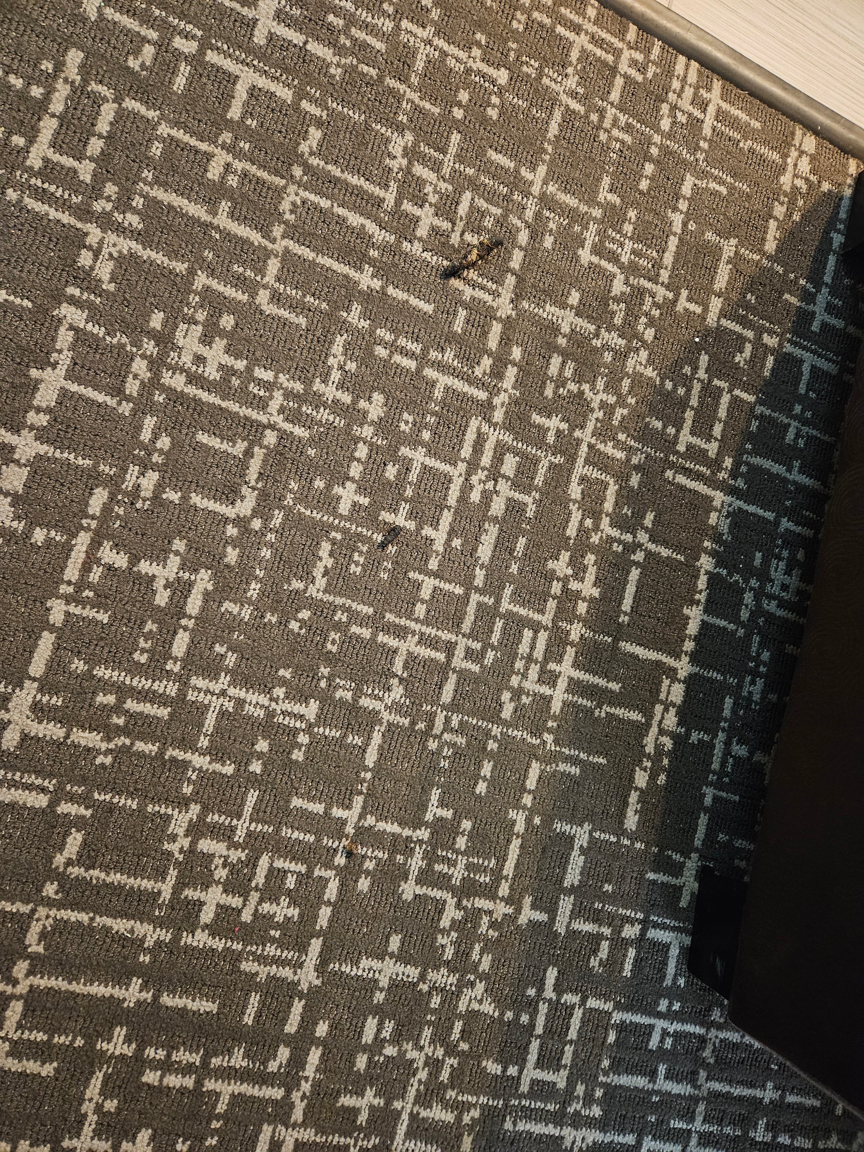 New Hope Inn & Suites-官方