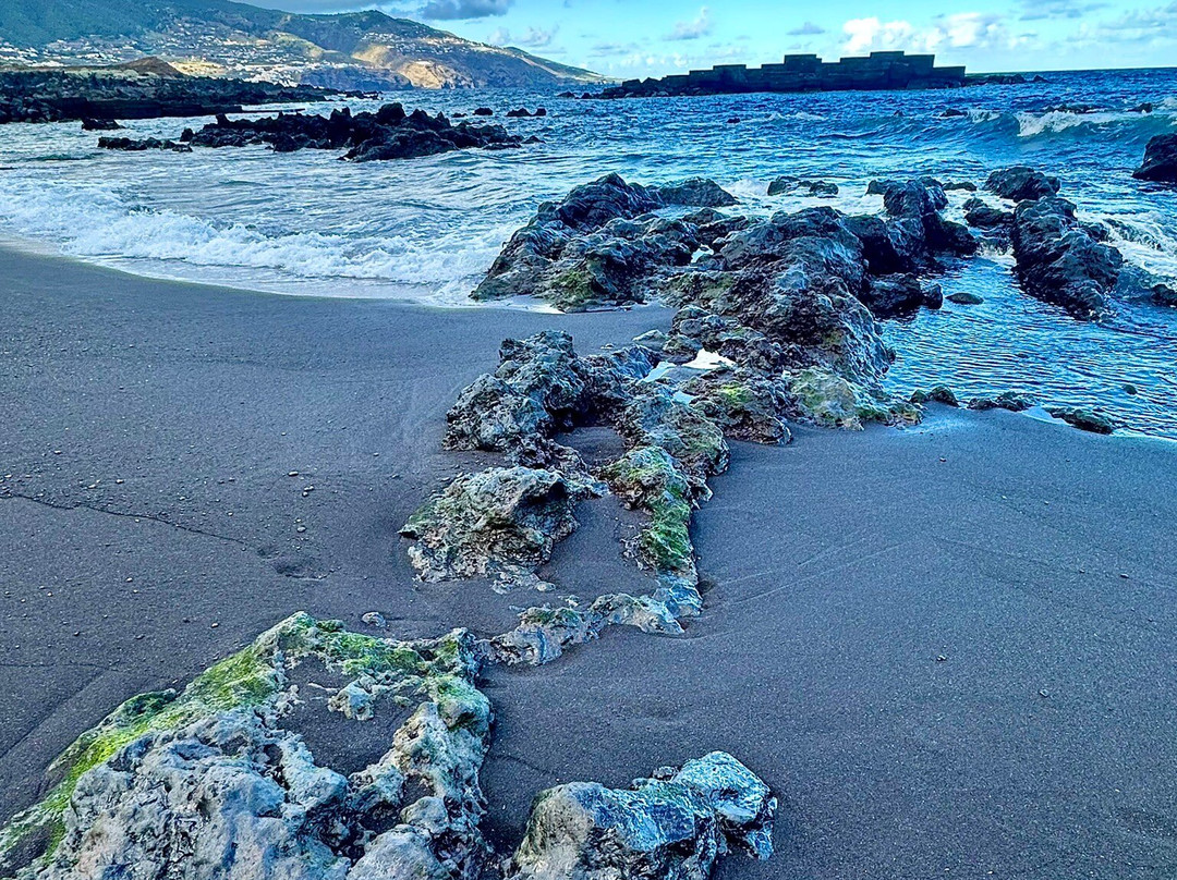 Playa De Los Cancajos-布雷尼亚瓦哈必去景点