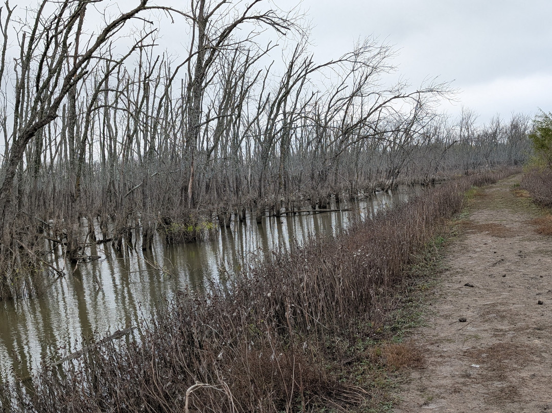 Clear Creek Natural Heritage Center-登顿必去景点
