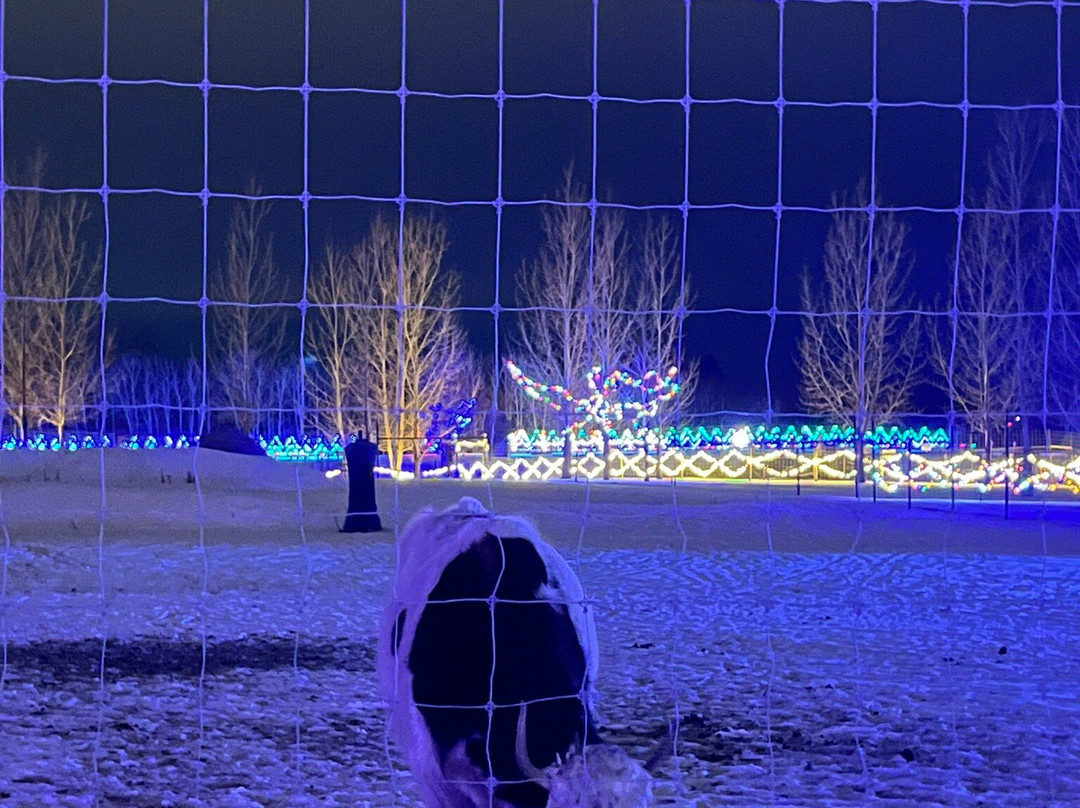 野生动物探索公园-因尼斯费尔必去景点