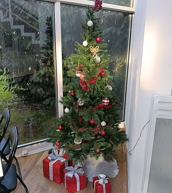 CERISE Auxerre主图