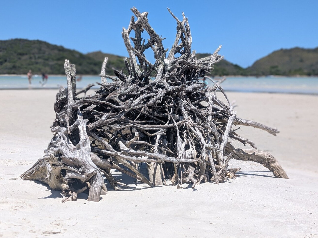 Japones Island-卡布弗里乌必去景点