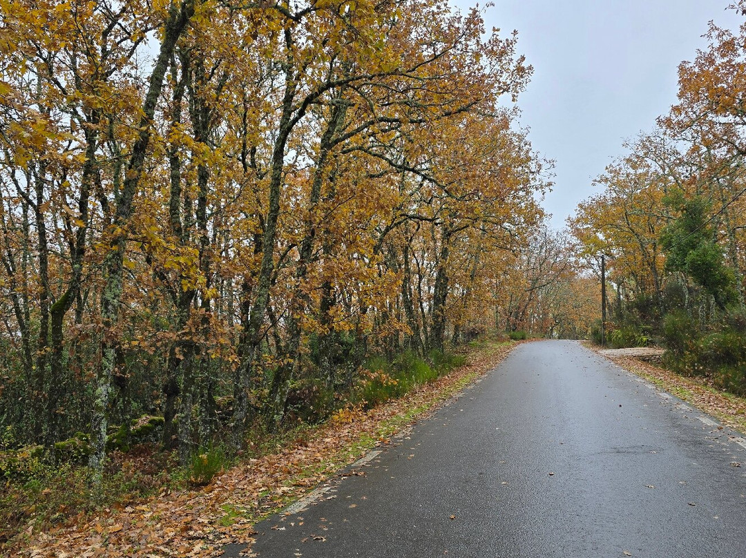 Hotel Rural Cayetana主图