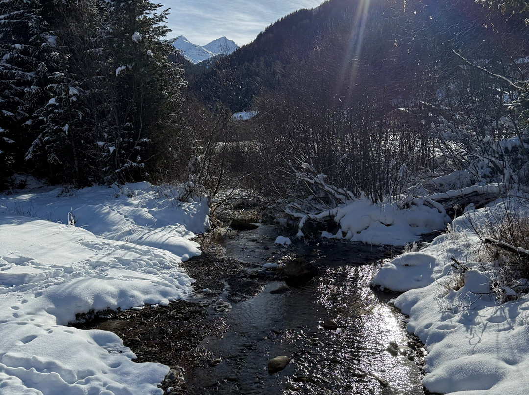 Hotel Abete Blu主图