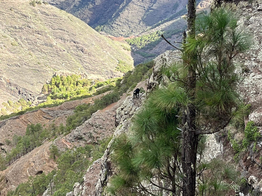 Ipalan Hiking Guided Tour-阿拉赫罗必去景点
