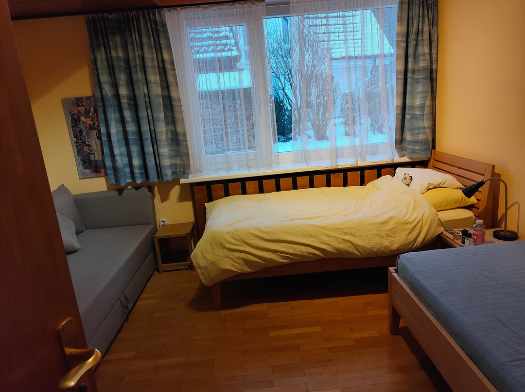 瓦得豪斯伊格斯酒店主图