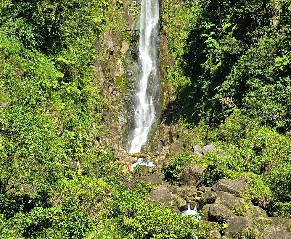 Trafalgar Falls-Morne Trois Pitons National Park必去景点