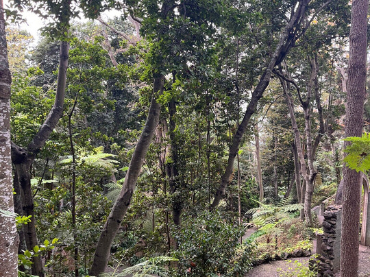 Botanical Garden Cable Car-沙尔必去景点